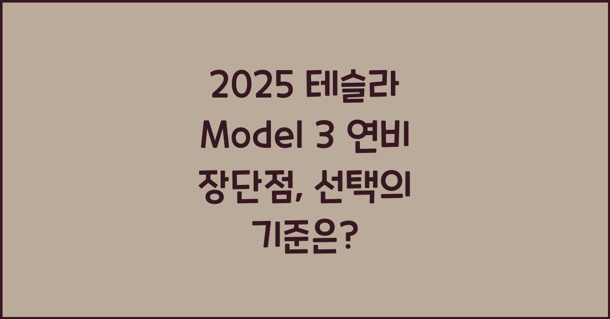 2025 테슬라 Model 3 연비 장단점