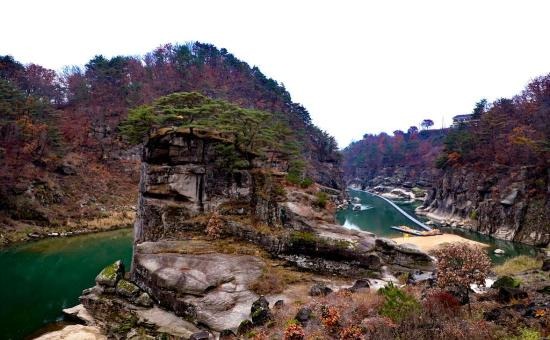 2025 철원 고석정 꽃밭축제 가을 개화 현황