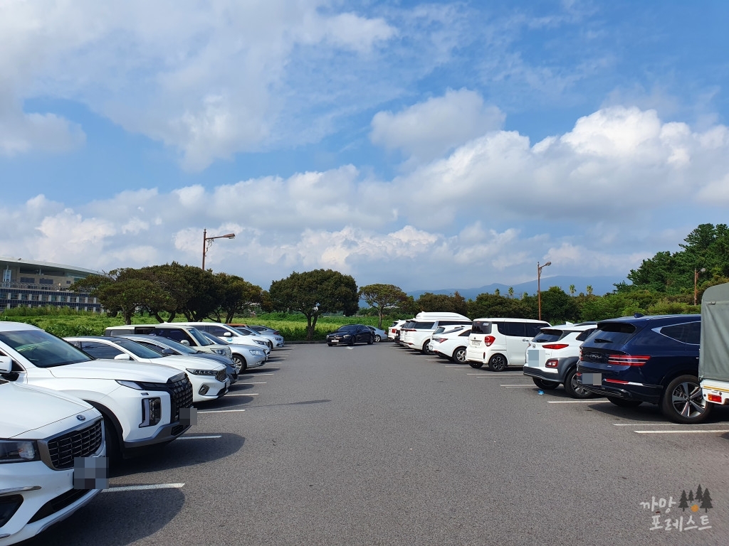 중문 주상절리대 주차장