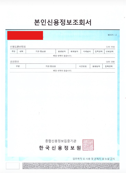 개인신용정보조회서 발급 예시 화면