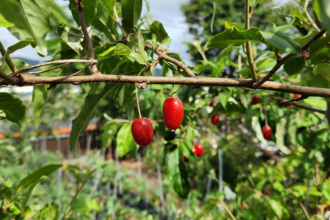 평생교육 바우처 카드신청