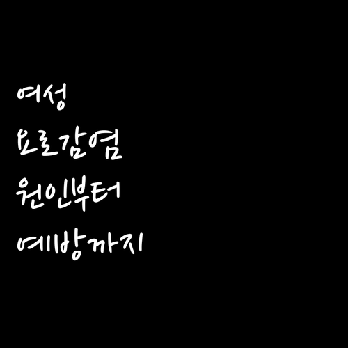 여성 요로 감염, 원인부터 예방까지 