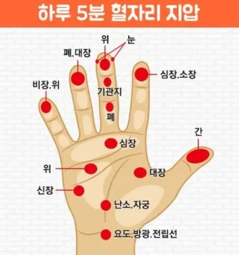 회사에서 졸릴때 잠깨는 혈자리 지압법 효과적 방법_10