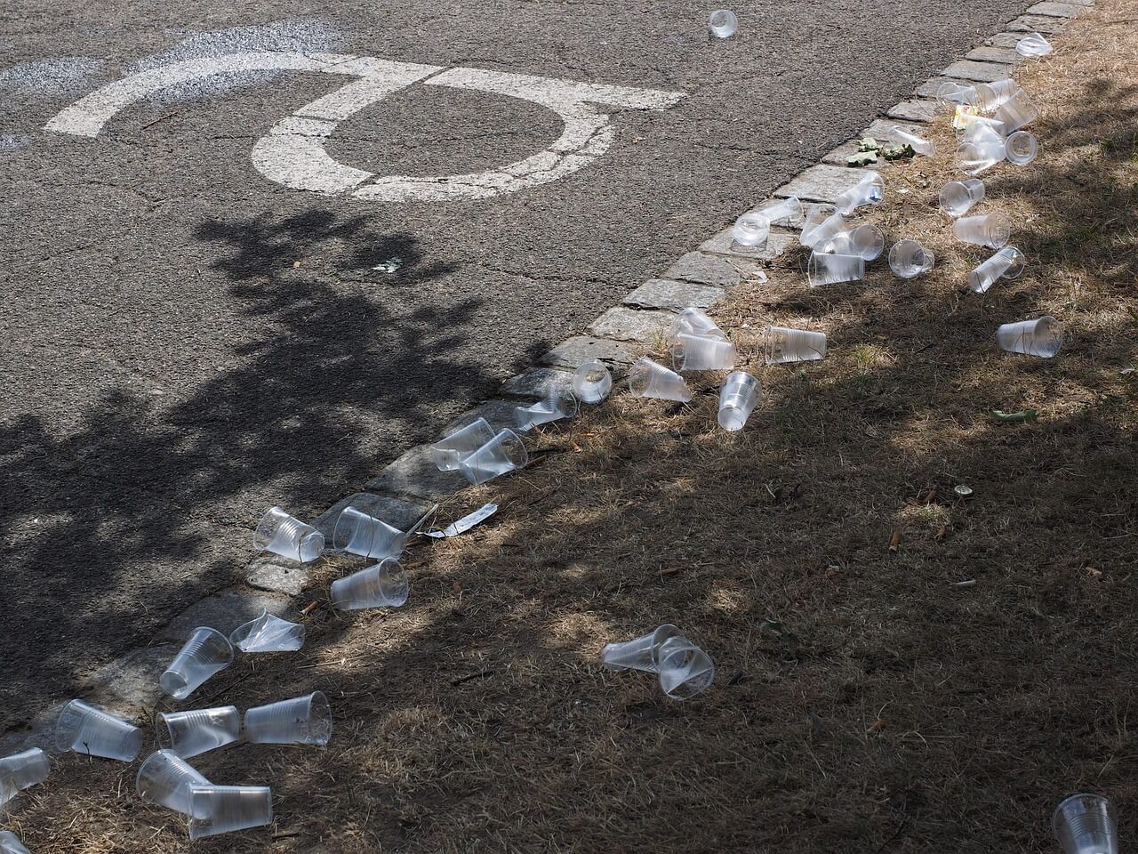 혈액과 장기에서 발견된 미세 플라스틱