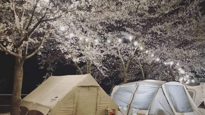 월성오토캠핑장