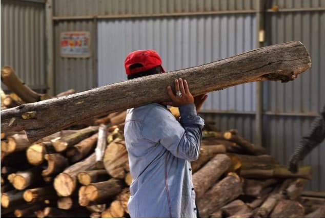 베트남 침향환 효능