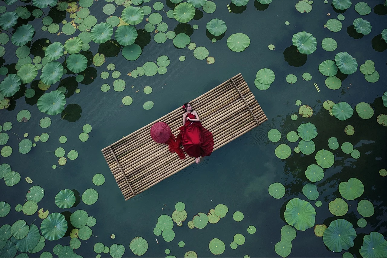 제17편 확률 가중 왜곡(Probability Weighting): 우리는 확률을 계산하지 않고 재해석한다