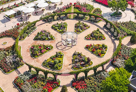 에버랜드 장미축제 기간 입장권