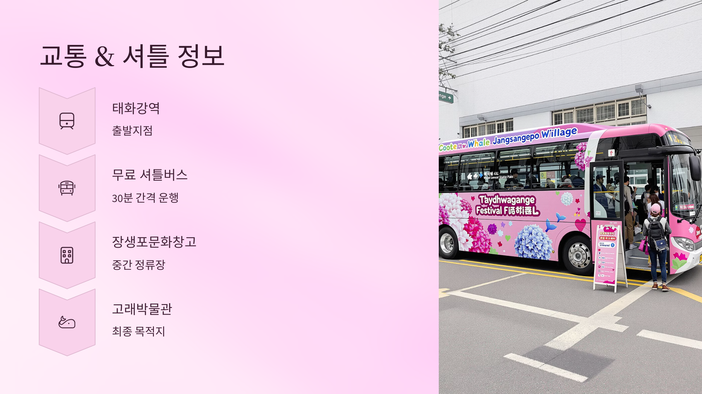 장생포 수국 페스티벌 총정리