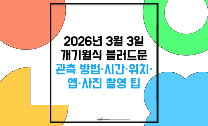 2026년 3월 3일 개기월식 블러드문 관측 방법·시간·위치·앱·사진 촬영 팁