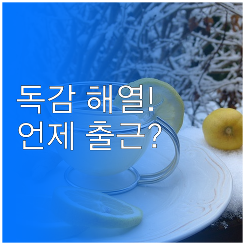 A형 독감 해열 후 출근 시점 및 주..