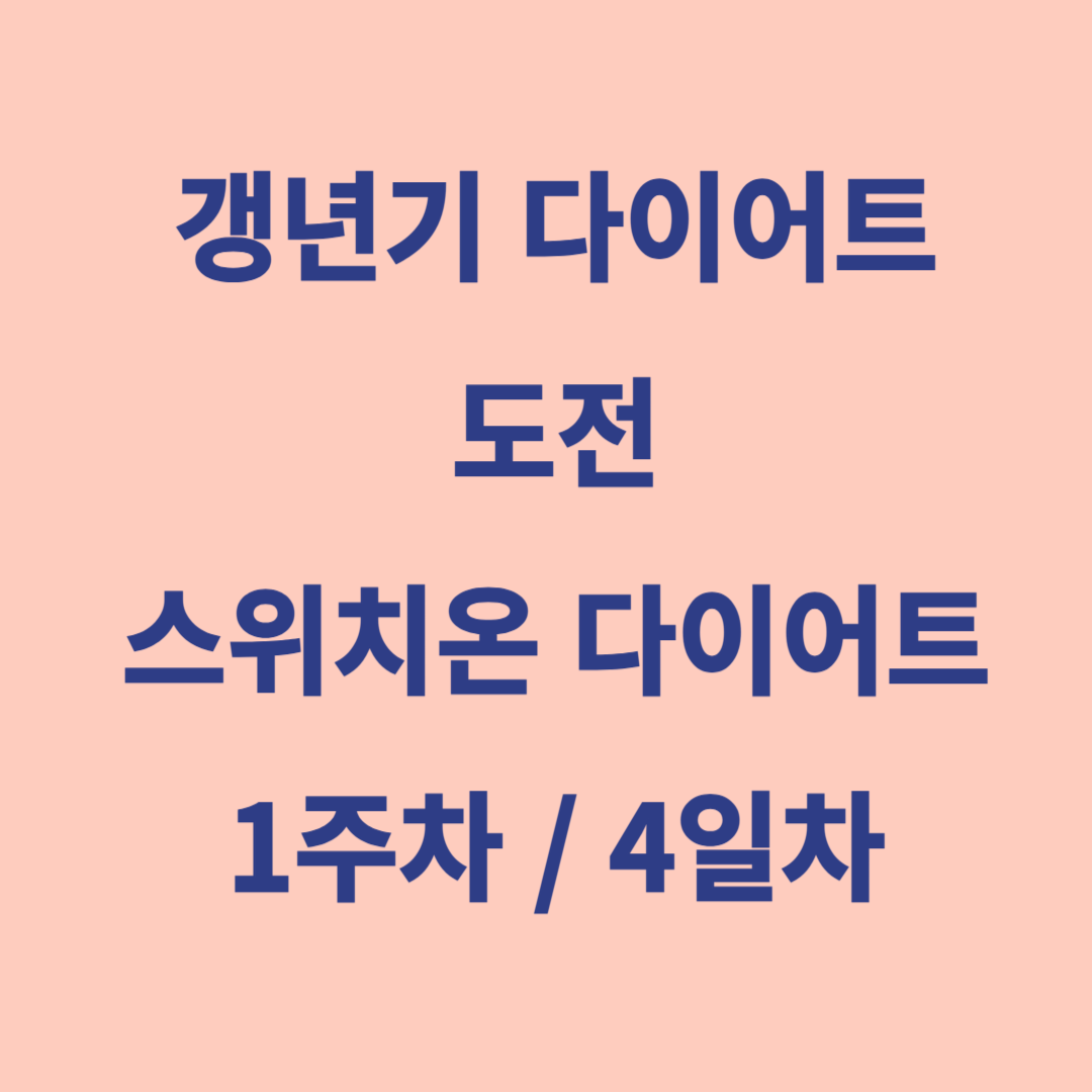 갱년기 다이어트 4일차