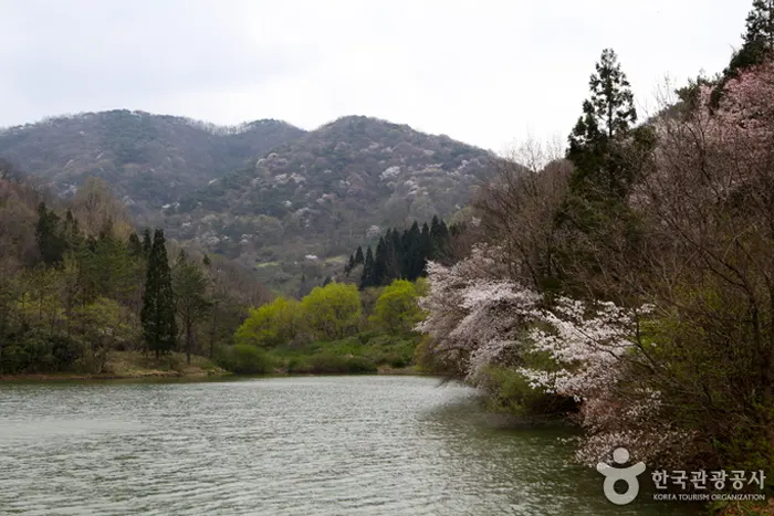 세량제 전경 이미지