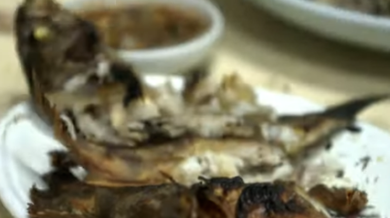 전현무계획2, 거제 맛집, 아구내장수육, 볼락구이, 거제 이모카세, 거제도 해산물, 거제도 노포, 거제도 현지인 맛집, 해산물 추천, 거제 여행