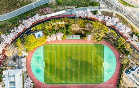 여의도 벚꽃축제 일정