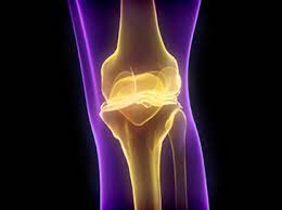 관절에 좋은 음식 (섭취 후 효과가 가장 좋았던 음식)