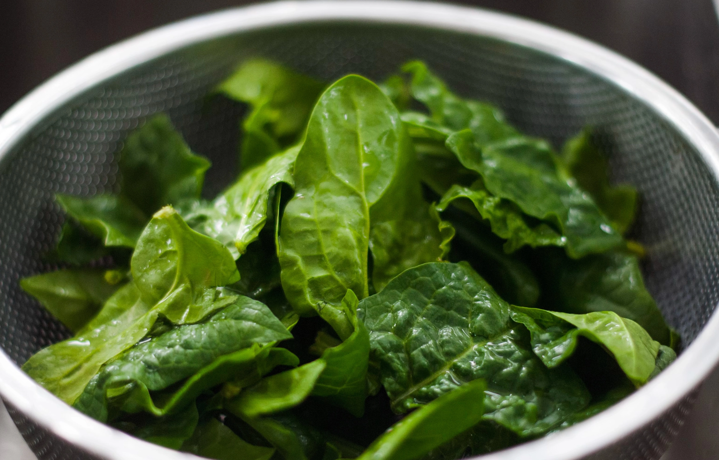 신장에 좋은 음식