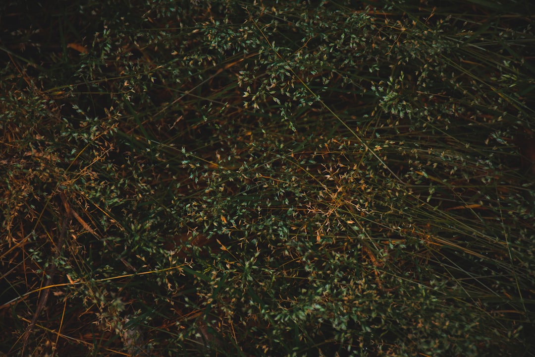 'Propagation'