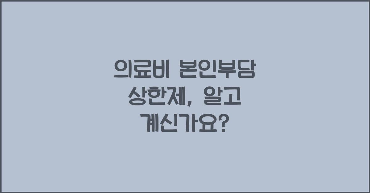 의료비 본인부담 상한제
