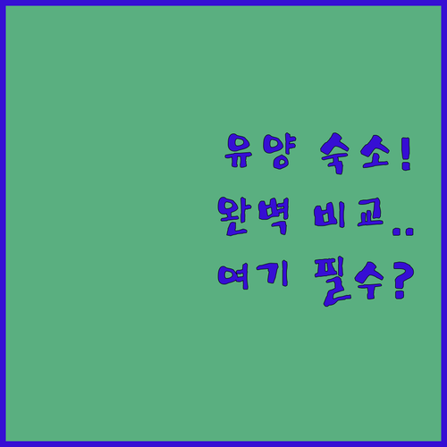 충칭 유양현 숙박 고민 해결 맞춤형 ..