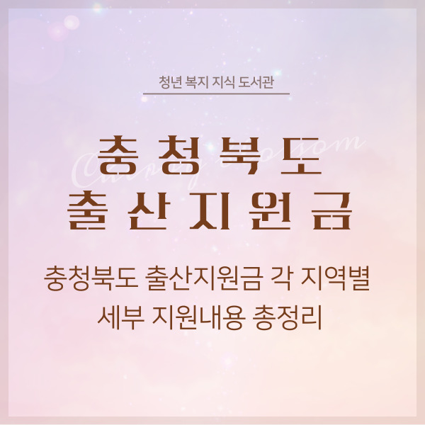 충청북도 출산지원금 각 지역별 세부 지원내용 총정리