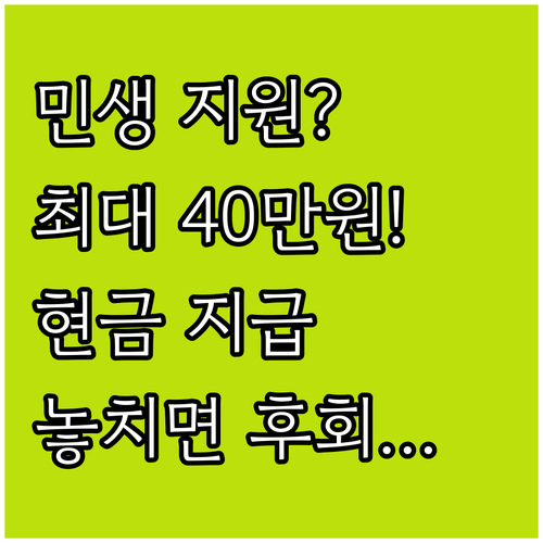 2025년 민생회복 소비쿠폰 최대 4..