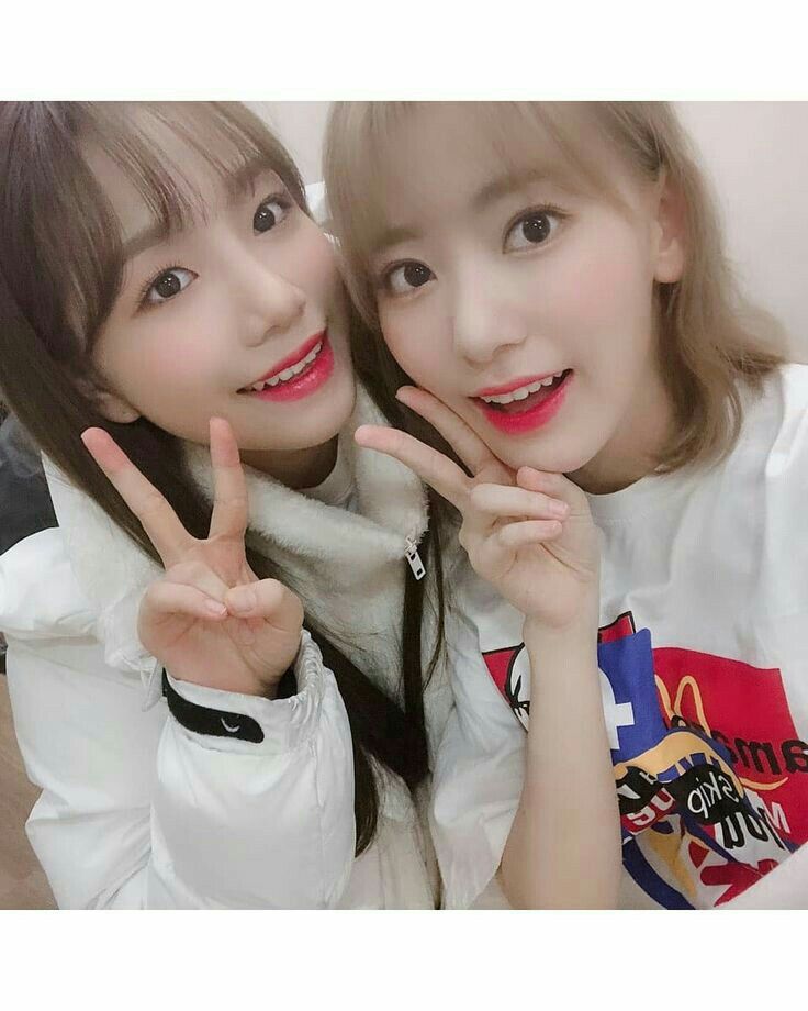 아이즈원 프로듀스48 사진 모음