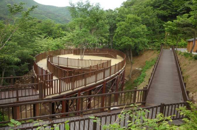 숲나들e 예약 방법부터 추천 캠핑장까지! 2025년 완전정리