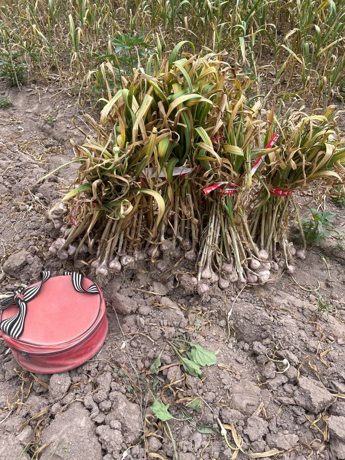 쪼그리 작업방석
