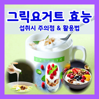 그릭요거트의 효능 그릭요거트 섭취시 주의점과 활용법