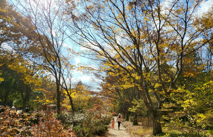 진주 수목원
