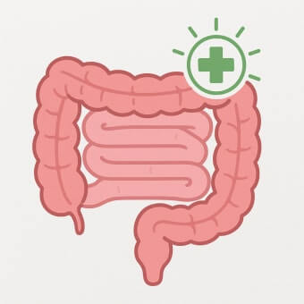 면역력 증진 식품
