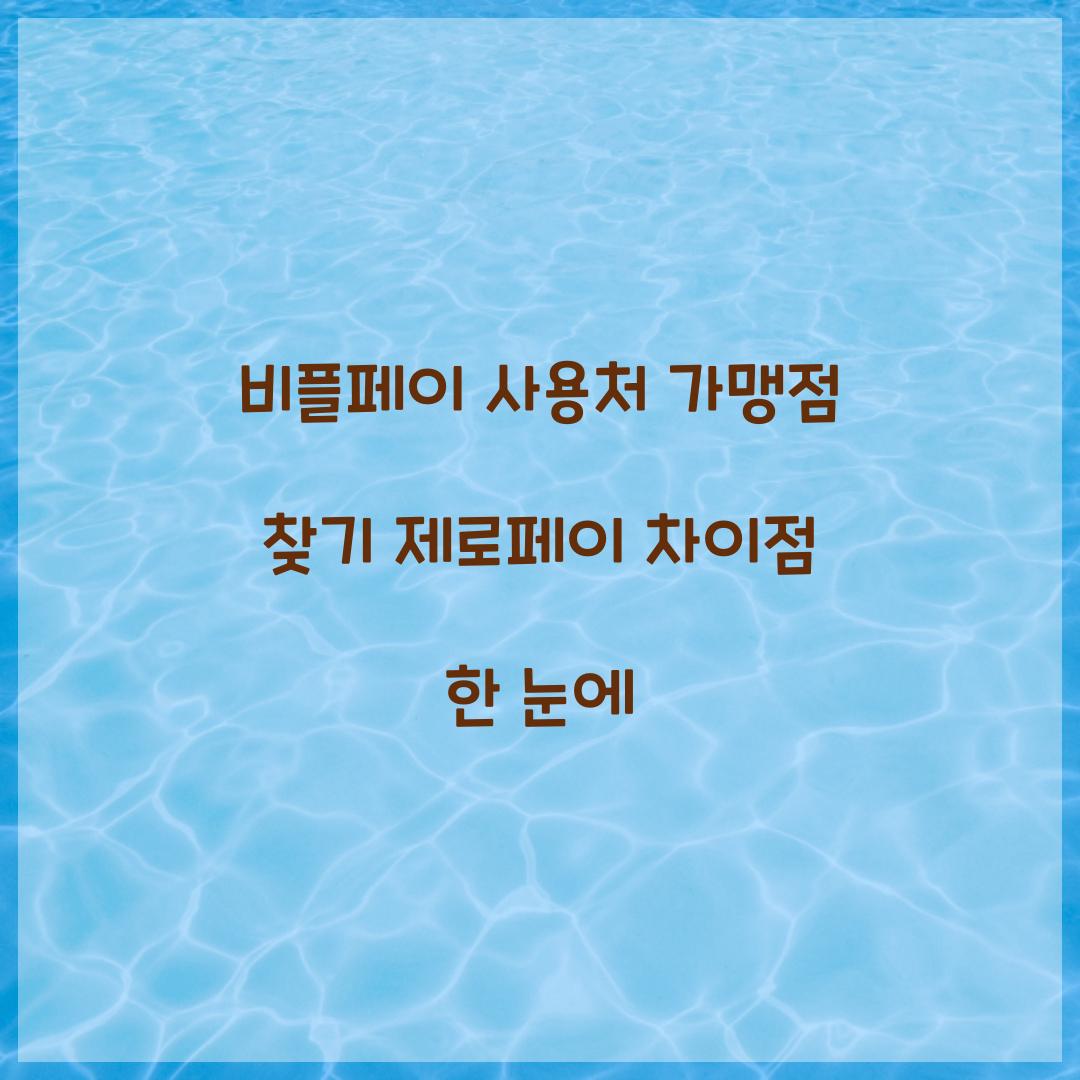 비플페이 사용처