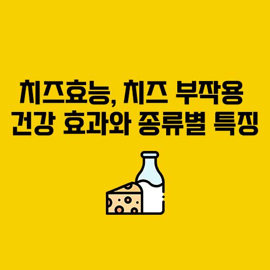 치즈효능, 치즈 부작용 - 치즈 건강 효과와 종류별 특징