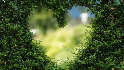 포항 지진 피해보상금 온라인 신청 방법