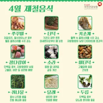4월 제철음식 제철 생선 과일 채소 모음_2