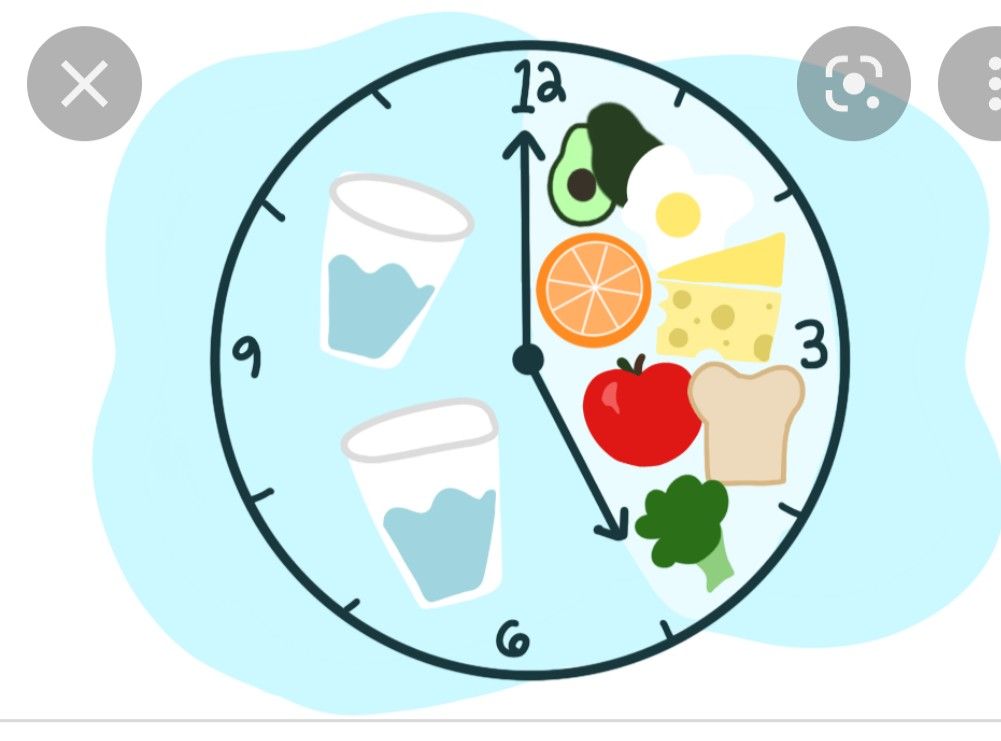 복부비만 탈출법