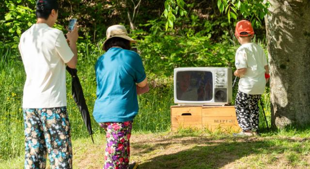 2025 화순 봄꽃 축제
