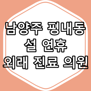 남양주시 평내동 2025년 설 연휴 문 여는 병원,약국 총정리