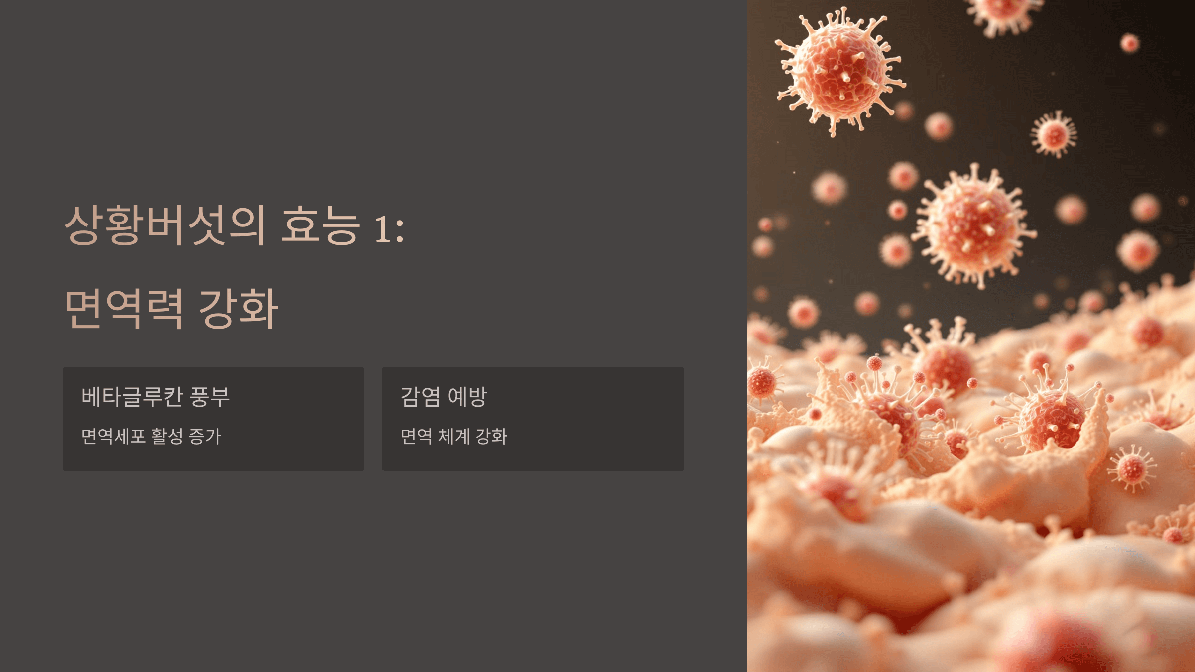 상황버섯과 관련된 사진입니다.