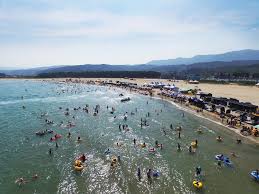  2024 전국 해수욕장 개장일 정리와 특징 - 충청도