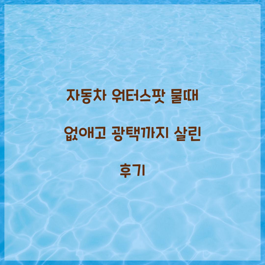 자동차 워터스팟 물때 없애고 광택까지 살린 후기  