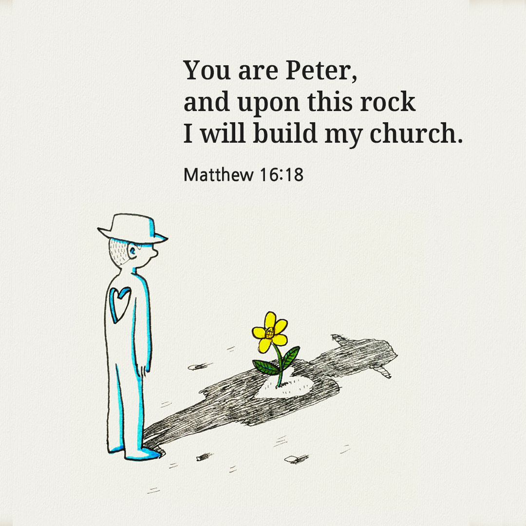 You are Peter, and upon this rock I will build my church. (Matthew 16:18)