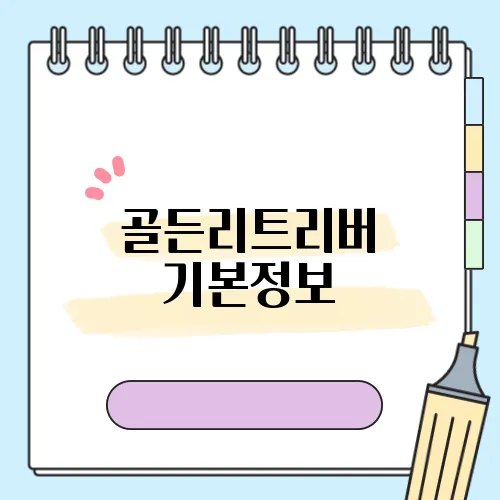 골든리트리버 기본정보