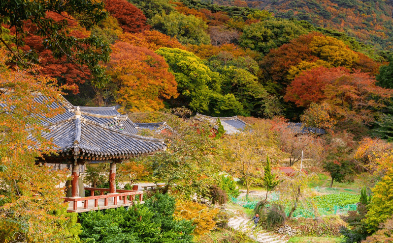 개심사