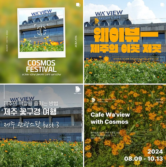 웨이뷰 인스타그램