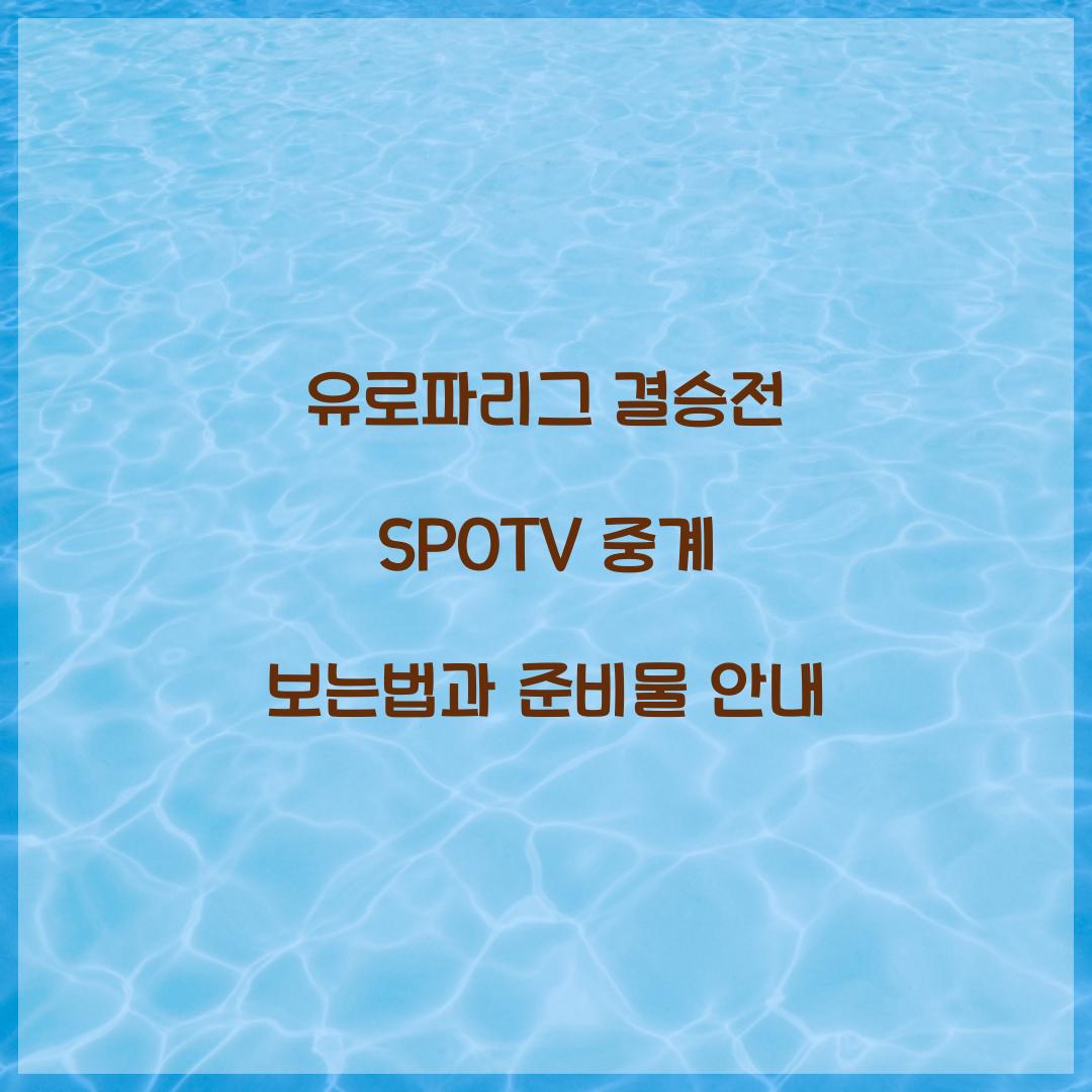 유로파리그 결승전 SPOTV 중계 보는법