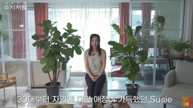 강수지 김국진 집