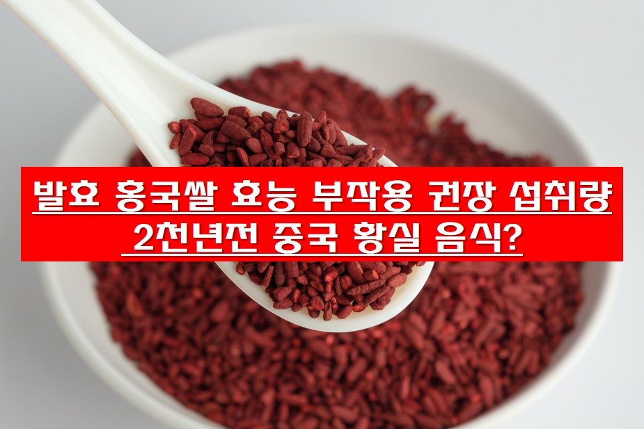 발효 홍국쌀 사진