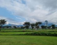 함평파크골프 예약